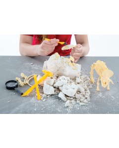 Choose from 4 dinosaur kits or a complete set