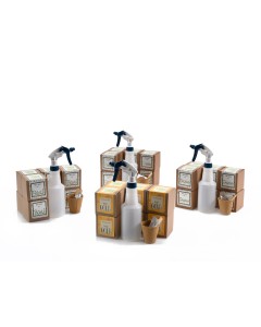 SproutStudy Set